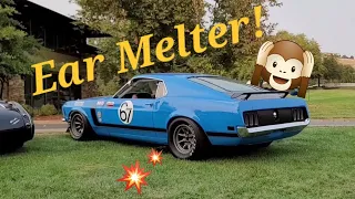 Wild straight-piped Boss 302 cold start will melt your eardrums!