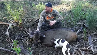 Hunting after the 30 inch Sambar Stag