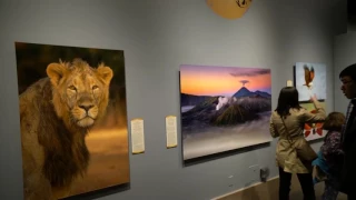 Nature's Best Photography Exhibition 2016 @ Smithsonian Museum of Natural History, Washington, D.C.