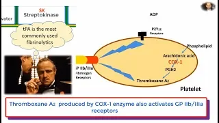 Thrombosis Review: Antiplatelet, Anticoagulants and Thrombolytics