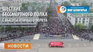 Шествие Бессмертного полка с высоты птичьего полета