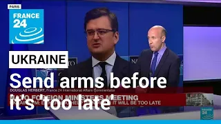 Ukraine FM tells NATO members to send arms before it's 'too late' • FRANCE 24 English