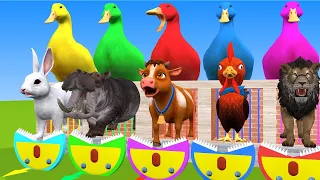 5 giant duck cartoon cow, lion, chicken, rabbit, hippo paint animals choose the right mystery door