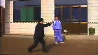 Shang Xing Yi Quan - Shang Zhirong instructing student (Old) (Shang Yun Xiang's daughter)