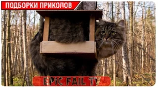 Подборка приколов за Март 2016 (+18) #44 A selection of jokes for March 2016