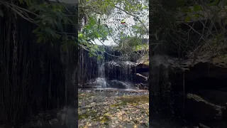 Un río amarillo en Colombia 🤯🇨🇴 San José del Guaviare #travel