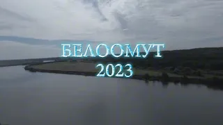 Белоомут 2023