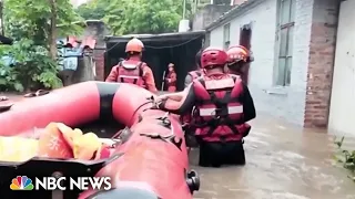 Escaped crocodiles add to perils of floods in southern China