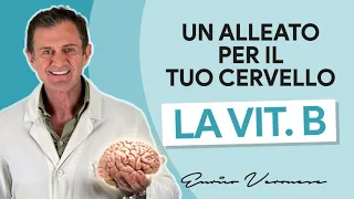 Vitamina B e Cervello: Più Memoria, Concentrazione e Previeni l’Alzheimer - Dott. Enrico Veronese