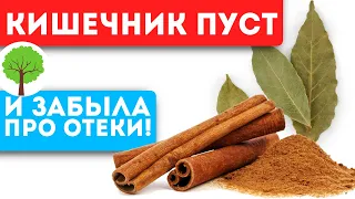 Просто кладу в чай листик лавра и …! Очищающий напиток для жкт, лимфы и…