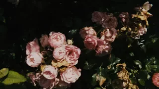 Alexander McQueen SS18 Inspiration Film