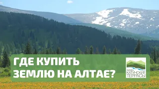 МОЙ ОПЫТ ПОКУПКИ ЗЕМЛИ НА АЛТАЕ.