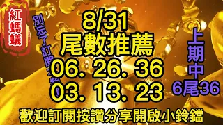 8/31今彩539(尾數)分析推薦號碼🎊上期中6️⃣尾⭐3️⃣6️⃣🎊| 紅螞蟻539