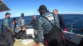 Catching Giant Bluefin Tuna In Sweden