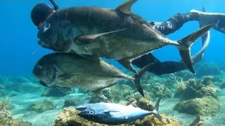 BEST SPEARFISHING! || GREAT TREVALLY || DOG TOOTH TUNA || SPEARFISHING PHILIPPINES || BANTOON.