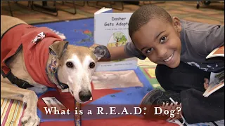 What is a R.E.A.D.® Dog?