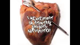 DISGORGEMENT OF INTESTINAL LYMPHATIC SUPPURATION - Necrotomy