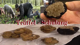 TRÜFFEL - Edelpilze - Schulung mit Experten