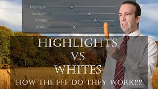 Highlights VS Whites Explained: How They REALLY Work Together