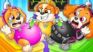 SKYE Has a Twin Sister, But Pregnant?? - Paw Patrol The Mighty Movie - Rubble Sad Story  - Rainbow 3