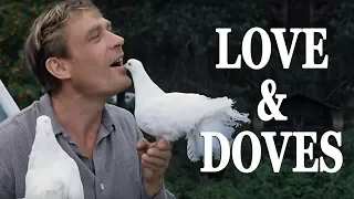 Love and Doves with english subtitles