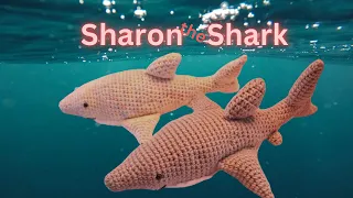 Sharon the Shark