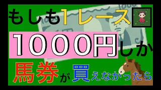 【少額馬券の買い方】１０００円で競馬を１０００倍楽しむ馬券戦略