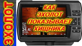 как эхолот показывает судака и щуку, эхолот Garmin STRIKER 9SV PLUS