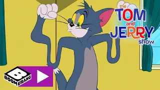 Tom & Jerry | Fit werden | Cartoonito