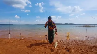 PESCARIA DE CURIMATÃ REPRESA TRÊS MARIAS. ILHA DO MANGABAL (CHALE DO ALMIR)