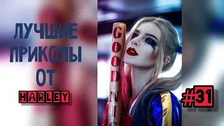 Лучшие приколы до слёз 2020 от Harley #31 ДЕКАБРЬ