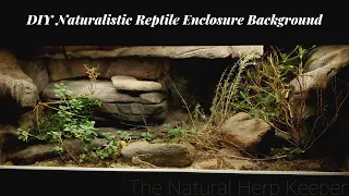 DIY Naturalistic Enclosure Background for a Bearded Dragon