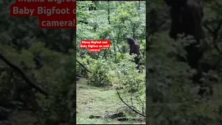 Female Bigfoot with Baby Hanging on its Back Captured on Trail Camera! | Squatch Watchers Shorts