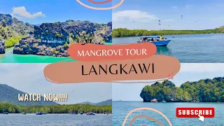 Mangrove Tour Langkawi 2023 |  Kilim Geoforest Park Tour | Langkawi | 4K