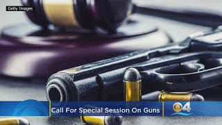 Florida Democrats Want State Legislative Session On Guns