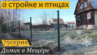 Строю 3D-забор вдоль речки стахановскими темпами в мороз. Домик в Мещёре, серия 79