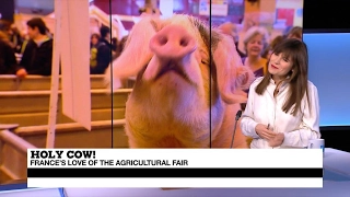 France's Salon de l'Agriculture: Celebrating a struggling sector