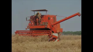 🌾Kradzione Żniwa 2023🌾Żyto Pod Kosę🌾🔥Bizon W Akcji🔥