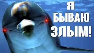 Подборка: Дельфины нападают на людей