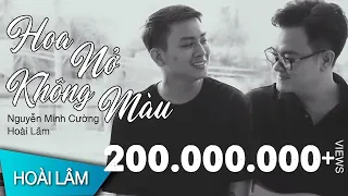 Hoa Nở Không Màu | Hoài Lâm | Acoustic Version