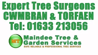 Tree Surgeon Cwmbran Tree Surgeons Torfaen