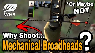 Mechanical Broadheads For Deer - The Best Broadhead?