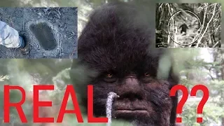 BIGFOOT (sasquatch) MYSTERY REVEALED #bigfoot #sasquatch