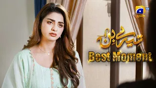 Tere Bin || 𝗕𝗲𝘀𝘁 𝗠𝗼𝗺𝗲𝗻𝘁 𝟬𝟮 || Yumna Zaidi - Wahaj Ali || Har Pal Geo