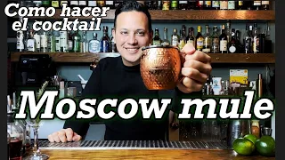 COCKTAIL MOSCOW MULE / TUTORIAL BARTENDER