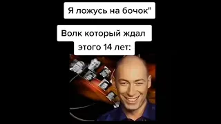 тик токи которые я смотрю в 3 часа ночи