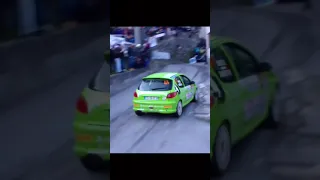 Pilot with skill or luck? #wrc #rally #pug #peugeot #mountains #touge #pilot #206 #cars #fails