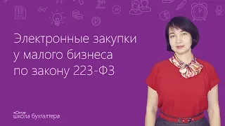 Электронные закупки у малого бизнеса по закону 223-ФЗ