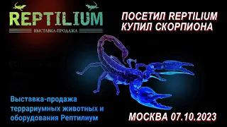 REPTILIUM 10/07/2023 MOSCOW. Exhibition and sale of terrarium animals. I bought myself a scorpion 🦂