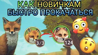 КАК НОВИЧКАМ БЫСТРО ПРОКАЧАТЬСЯ В WILDCRAFT 😍😙